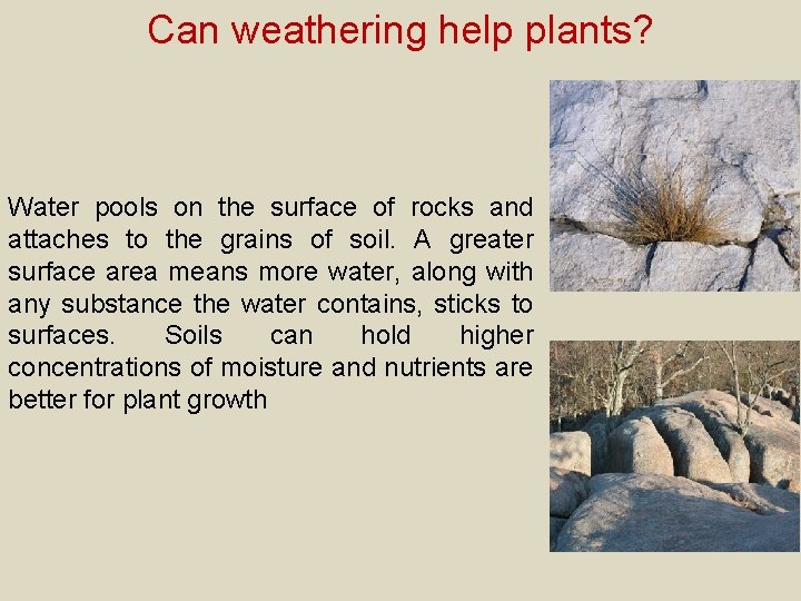 Can weathering help plants? Water pools on the surface of rocks and attaches to