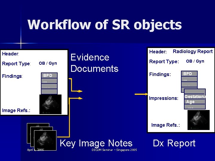 Workflow of SR objects Header: Report Type: OB / Gyn …. . BPD. .