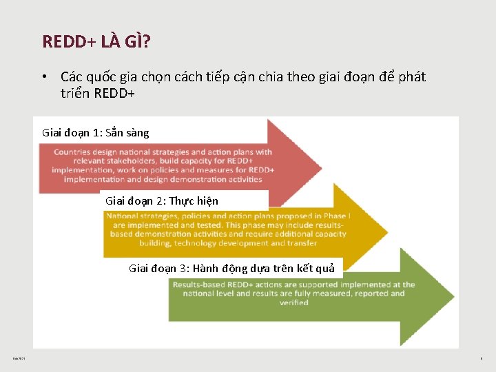 REDD+ LÀ GÌ? • Các quốc gia chọn cách tiếp cận chia theo giai