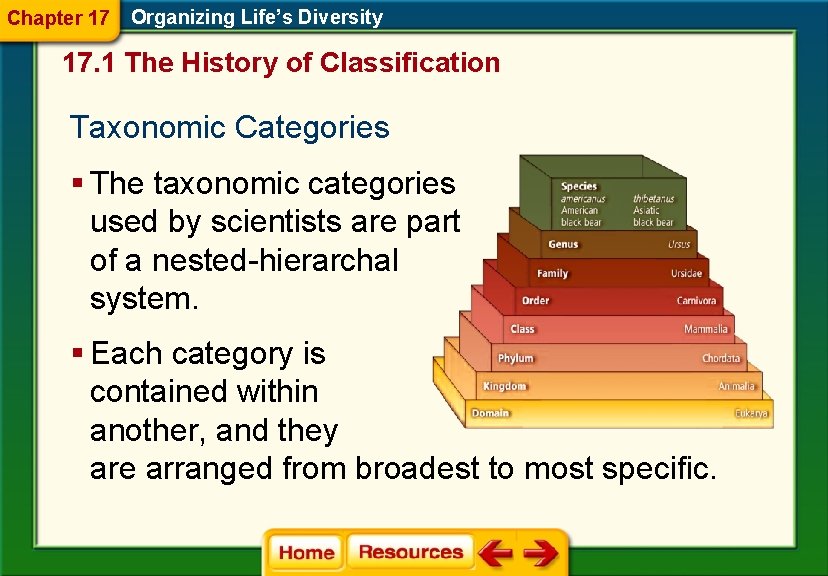 Chapter 17 Organizing Life’s Diversity 17. 1 The History of Classification Taxonomic Categories §