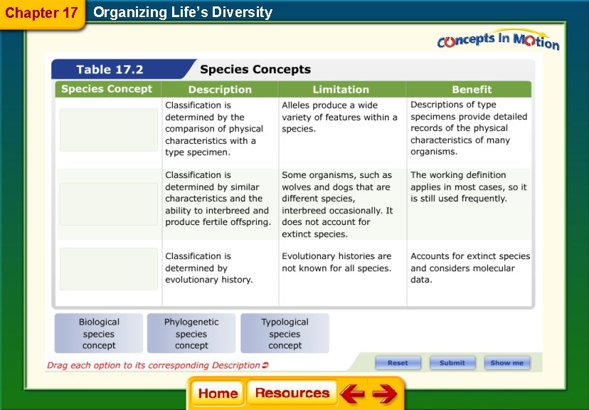 Chapter 17 Organizing Life’s Diversity 