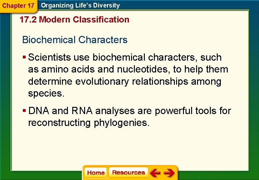 Chapter 17 Organizing Life’s Diversity 17. 2 Modern Classification Biochemical Characters § Scientists use