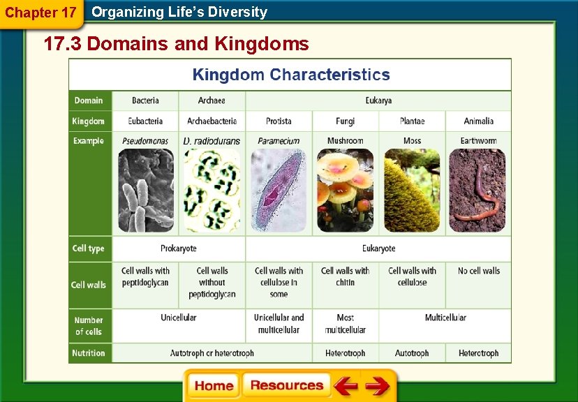 Chapter 17 Organizing Life’s Diversity 17. 3 Domains and Kingdoms 