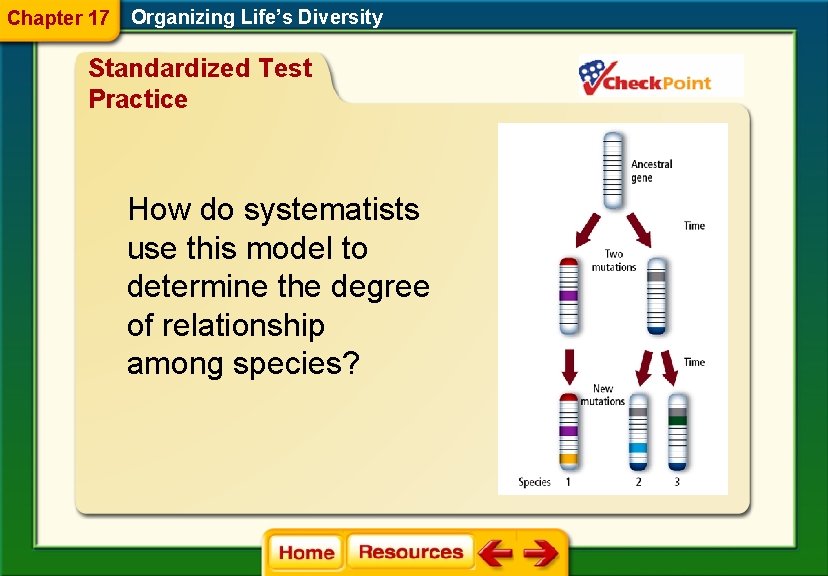 Chapter 17 Organizing Life’s Diversity Standardized Test Practice How do systematists use this model