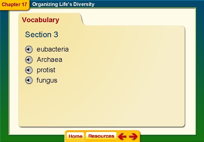 Chapter 17 Organizing Life’s Diversity Vocabulary Section 3 eubacteria Archaea protist fungus 