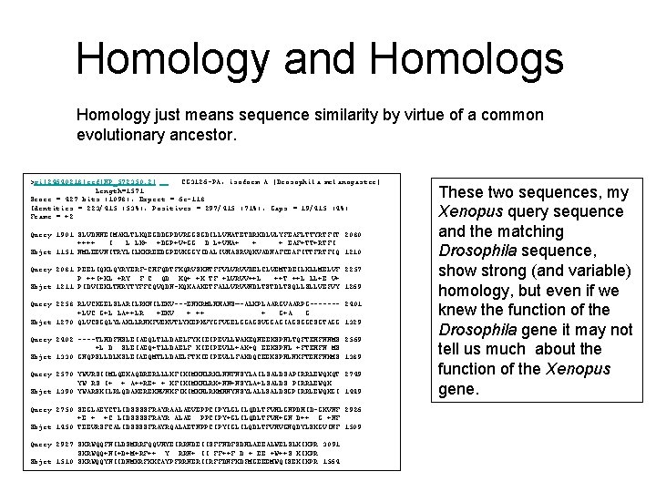 Homology and Homologs Homology just means sequence similarity by virtue of a common evolutionary