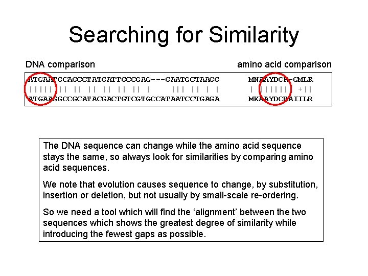 Searching for Similarity DNA comparison ATGAATGCAGCCTATGATTGCCGAG---GAATGCTAAGG ||||| || | || | | ATGAAGGCCGCATACGACTGTCGTGCCATAATCCTGAGA amino