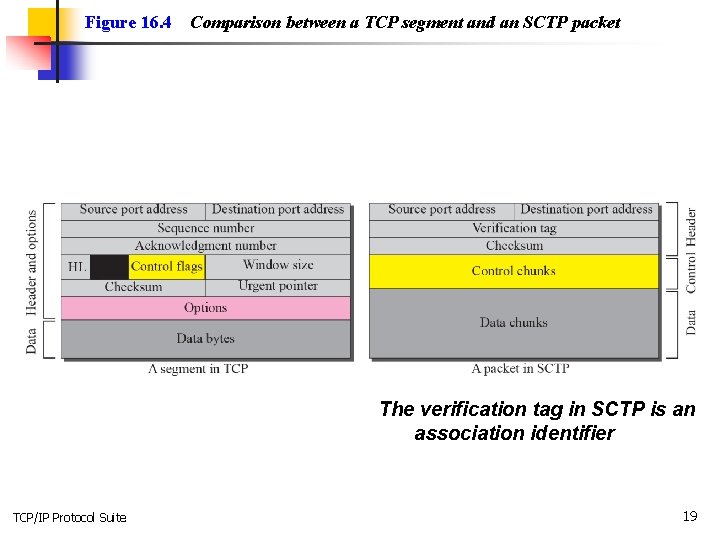 Figure 16. 4 Comparison between a TCP segment and an SCTP packet The verification