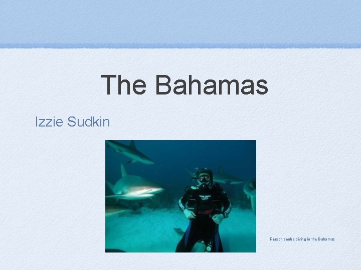 The Bahamas Izzie Sudkin Person scuba diving in the Bahamas 