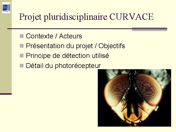 Projet pluridisciplinaire CURVACE n Contexte / Acteurs n Présentation du projet / Objectifs n