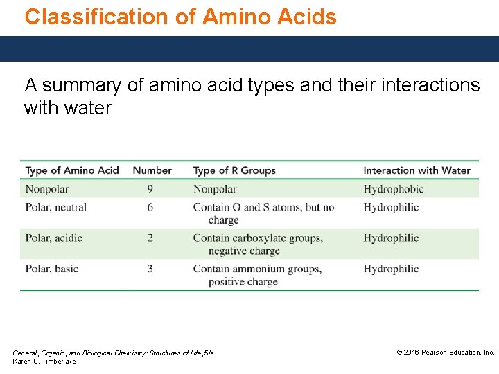 Classification of Amino Acids A summary of amino acid types and their interactions with