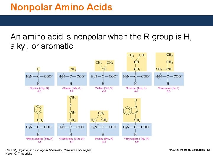 Nonpolar Amino Acids An amino acid is nonpolar when the R group is H,
