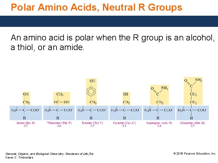 Polar Amino Acids, Neutral R Groups An amino acid is polar when the R