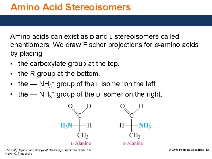 Amino Acid Stereoisomers Amino acids can exist as D and L stereoisomers called enantiomers.