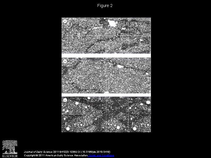 Figure 2 Journal of Dairy Science 2011 941223 -1238 DOI: (10. 3168/jds. 2010 -3416)