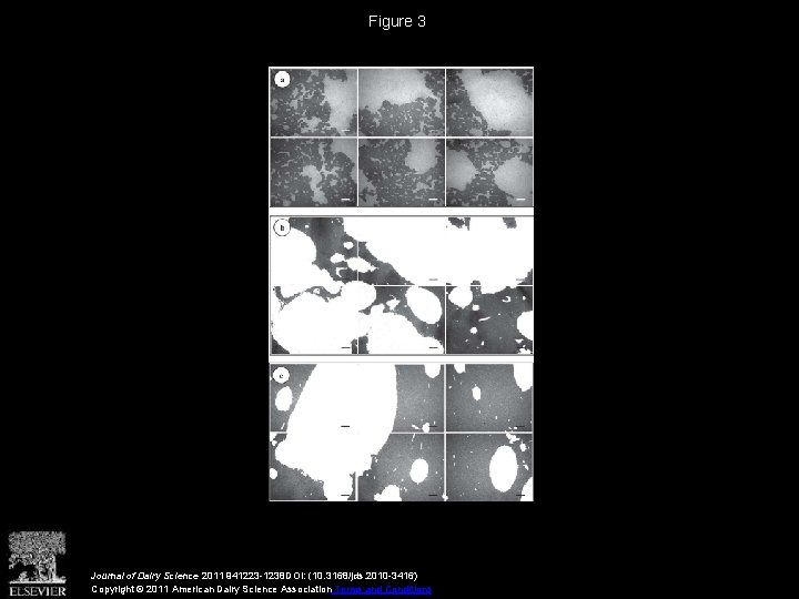 Figure 3 Journal of Dairy Science 2011 941223 -1238 DOI: (10. 3168/jds. 2010 -3416)