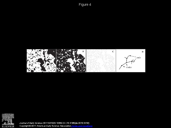 Figure 4 Journal of Dairy Science 2011 941223 -1238 DOI: (10. 3168/jds. 2010 -3416)