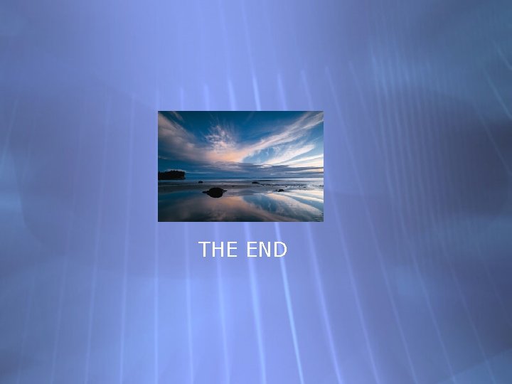 THE END 