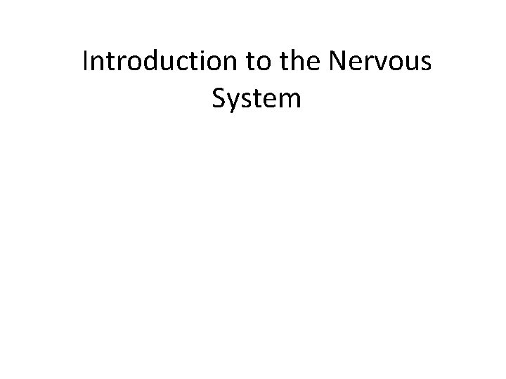 Introduction to the Nervous System 