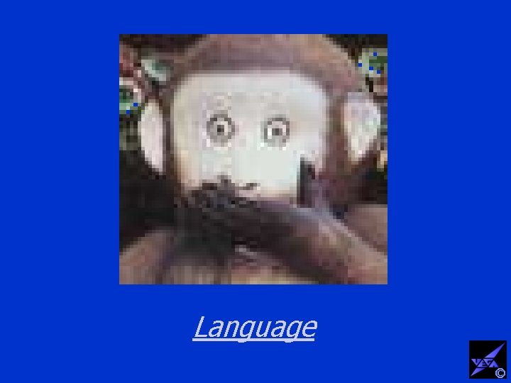 Language © 
