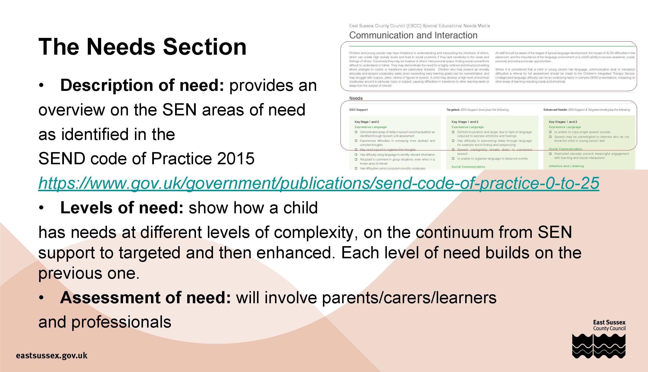 The Needs Section • Description of need: provides an overview on the SEN areas