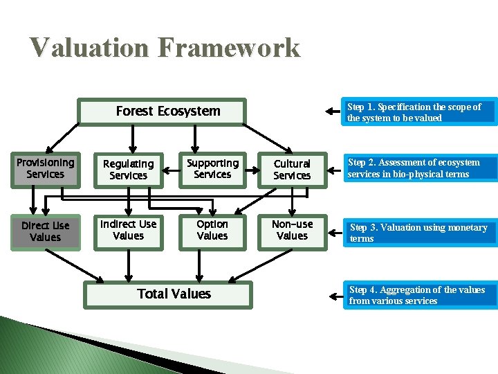 Valuation Framework Step 1. Specification the scope of the system to be valued Forest