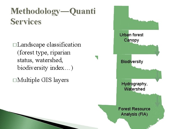 Methodology―Quantifying Ecosystem Services � Landscape classification (forest type, riparian status, watershed, biodiversity index…) �