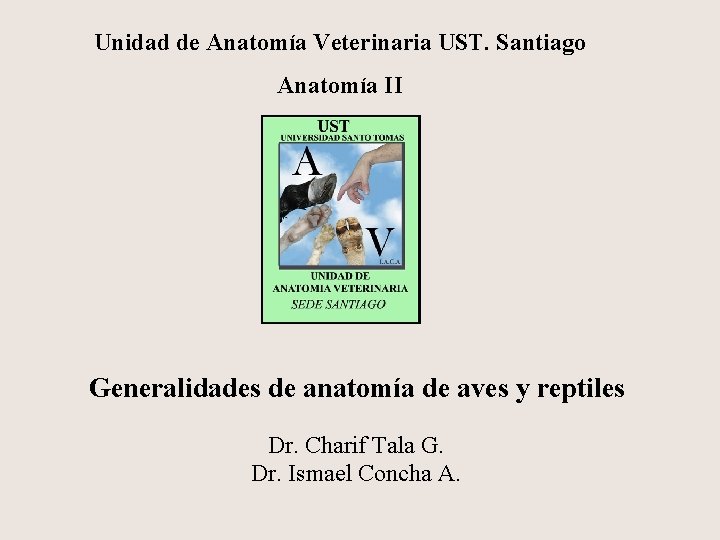 Unidad de Anatomía Veterinaria UST. Santiago Anatomía II Generalidades de anatomía de aves y
