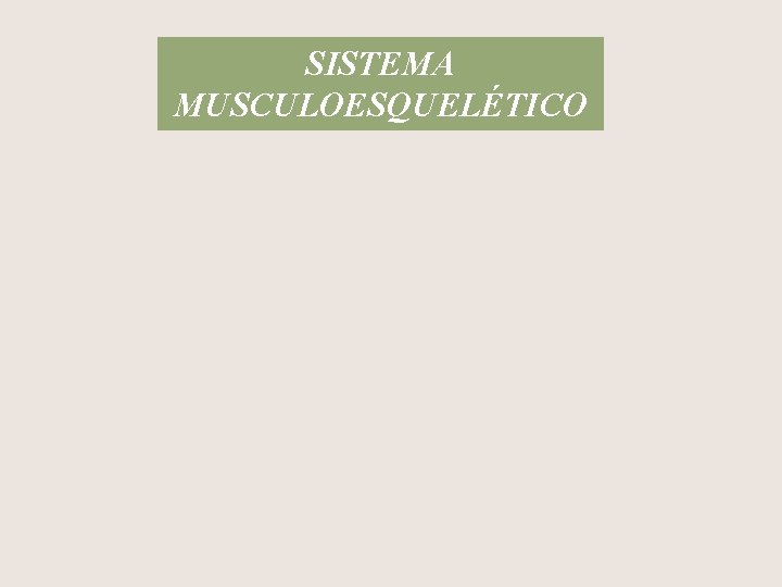 SISTEMA MUSCULOESQUELÉTICO 
