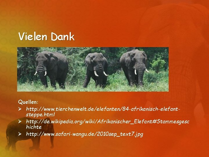 Vielen Dank Quellen: Ø http: //www. tierchenwelt. de/elefanten/84 -afrikanisch-elefantsteppe. html Ø http: //de. wikipedia.