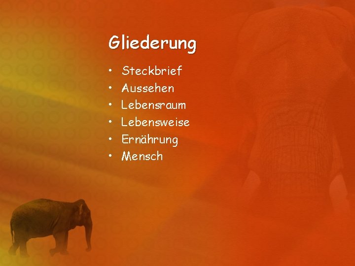 Gliederung • • • Steckbrief Aussehen Lebensraum Lebensweise Ernährung Mensch 