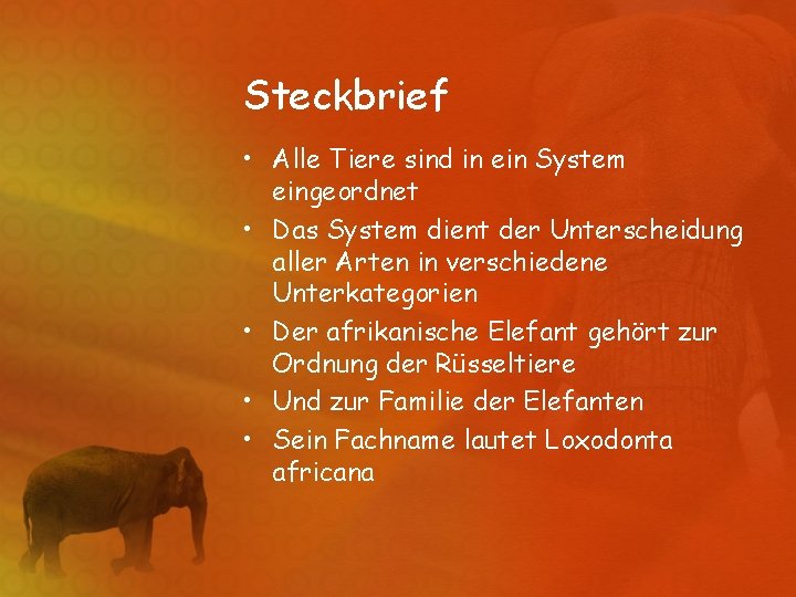 Steckbrief • Alle Tiere sind in ein System eingeordnet • Das System dient der