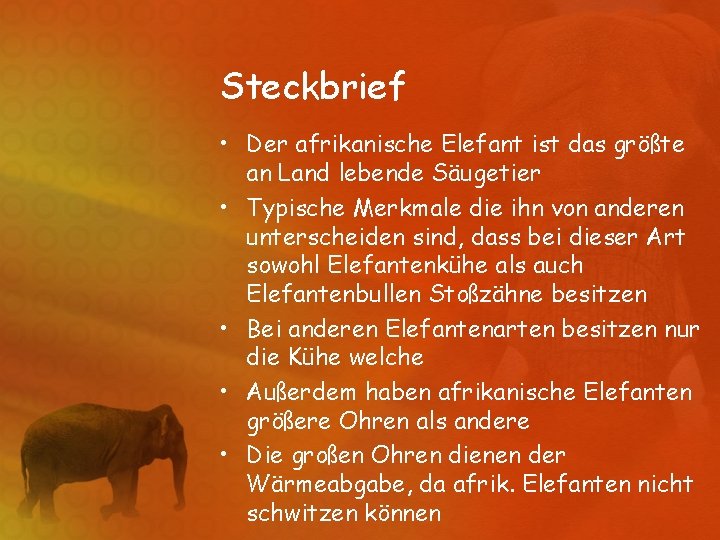 Steckbrief • Der afrikanische Elefant ist das größte an Land lebende Säugetier • Typische