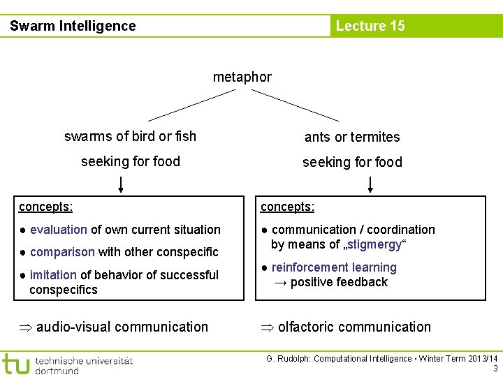 Swarm Intelligence Lecture 15 metaphor swarms of bird or fish ants or termites seeking