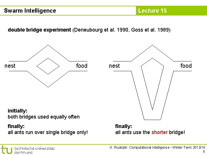 Swarm Intelligence Lecture 15 double bridge experiment (Deneubourg et al. 1990, Goss et al.