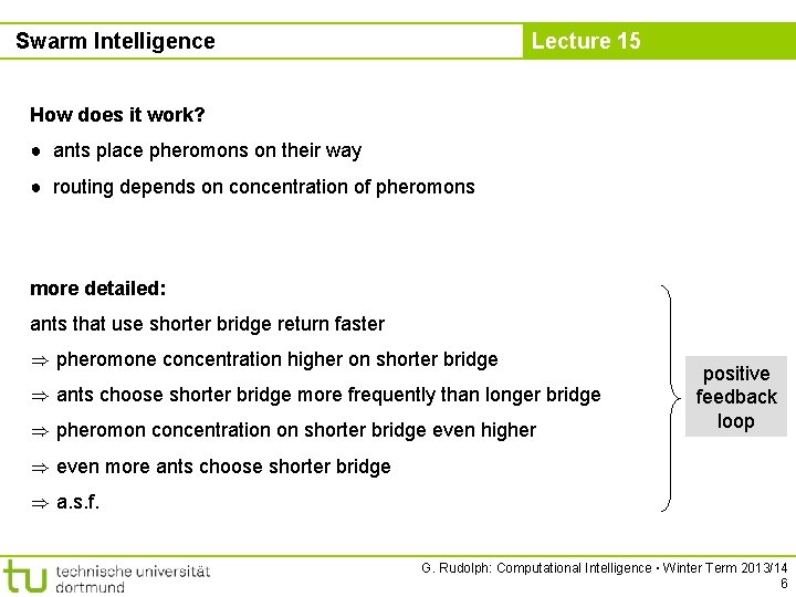 Swarm Intelligence Lecture 15 How does it work? ● ants place pheromons on their