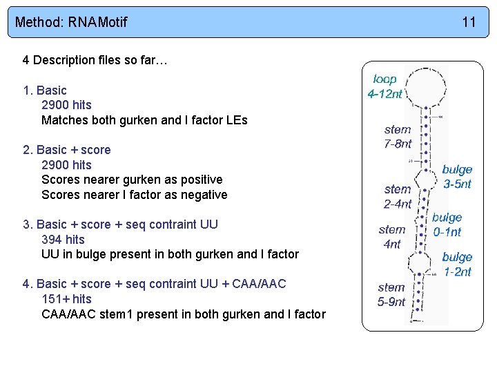Method: RNAMotif 4 Description files so far… 1. Basic 2900 hits Matches both gurken