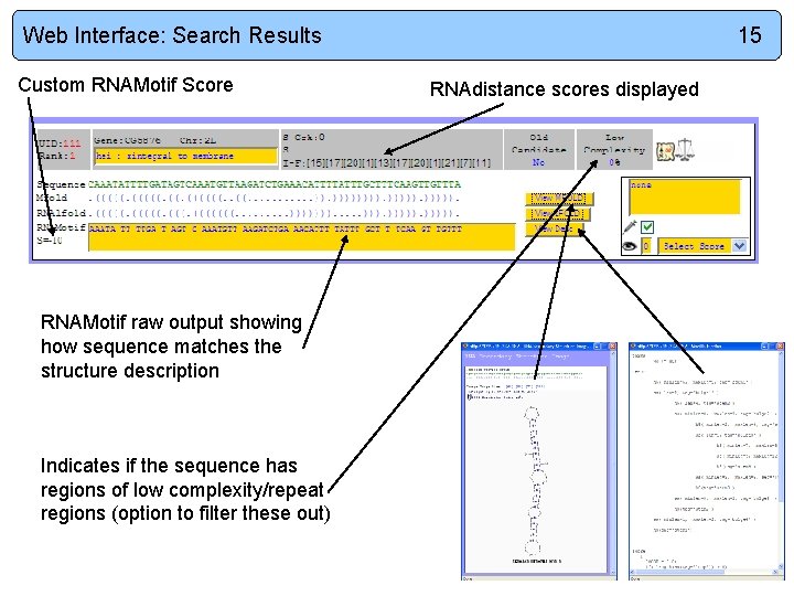 Web Interface: Search Results Custom RNAMotif Score RNAMotif raw output showing how sequence matches