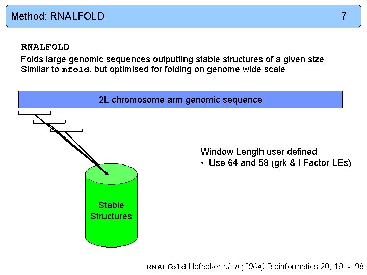 Method: RNALFOLD 7 RNALFOLD Folds large genomic sequences outputting stable structures of a given