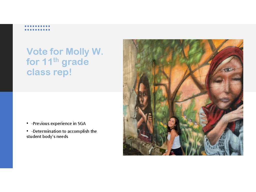 Vote for Molly W. for 11 th grade class rep! • -Previous experience in