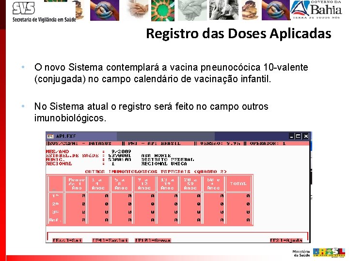 Registro das Doses Aplicadas • O novo Sistema contemplará a vacina pneunocócica 10 -valente