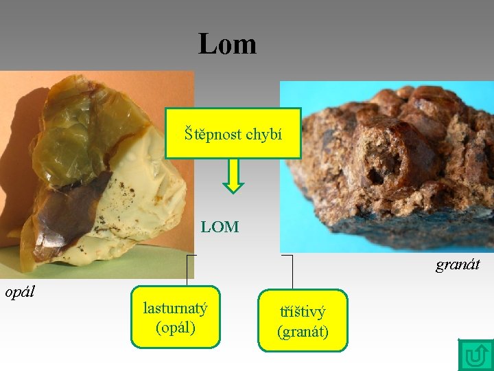 Lom Štěpnost chybí LOM granát opál lasturnatý (opál) tříštivý (granát) 