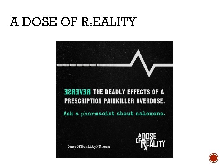 A DOSE OF R EALITY X 