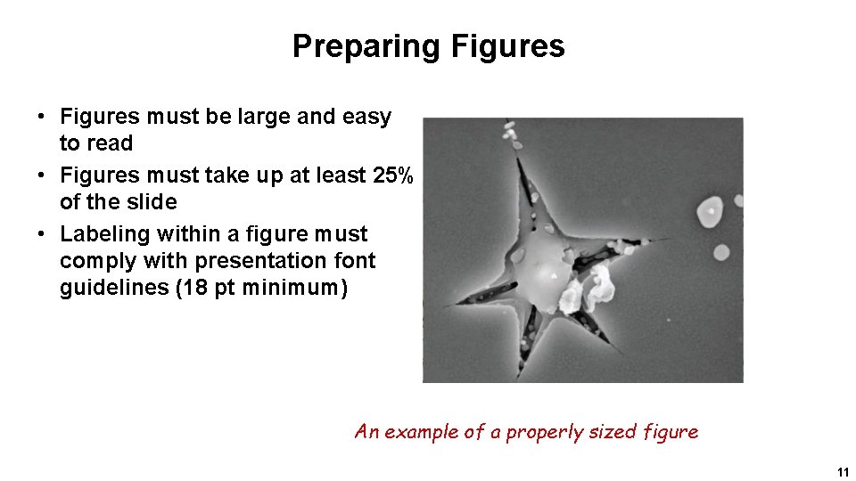 Preparing Figures • Figures must be large and easy to read • Figures must