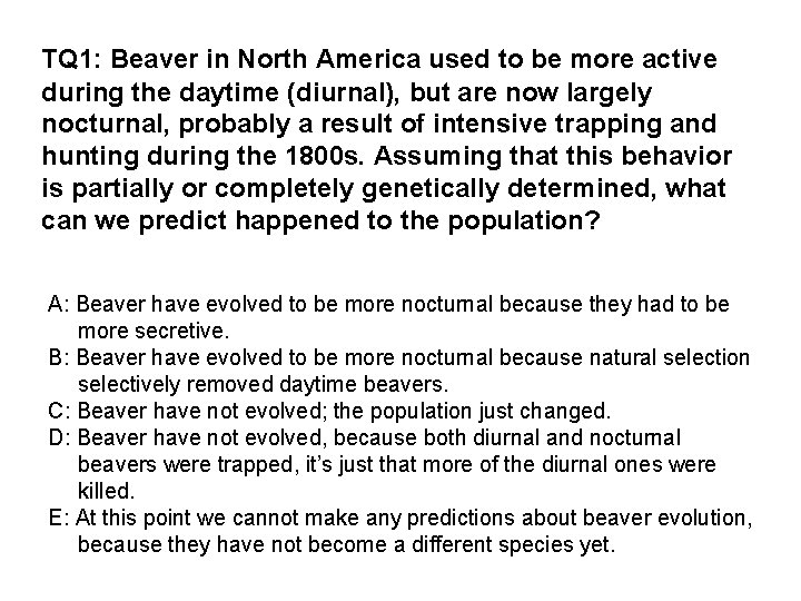 TQ 1: Beaver in North America used to be more active during the daytime