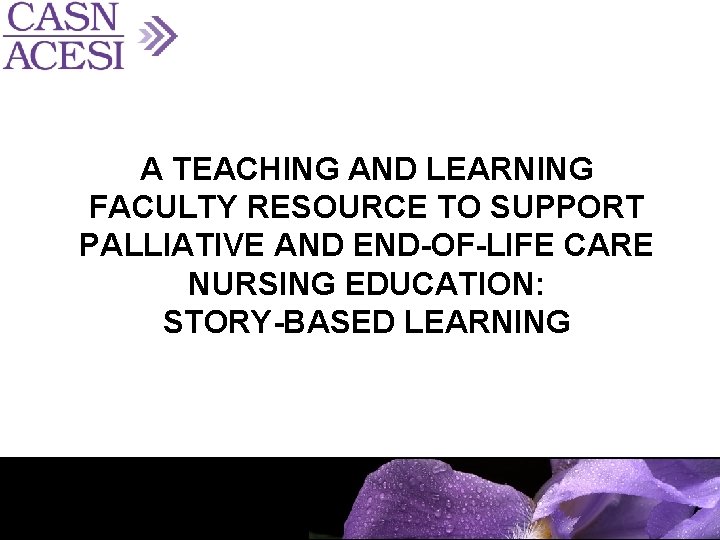 A TEACHING AND LEARNING FACULTY RESOURCE TO SUPPORT PALLIATIVE AND END-OF-LIFE CARE NURSING EDUCATION: