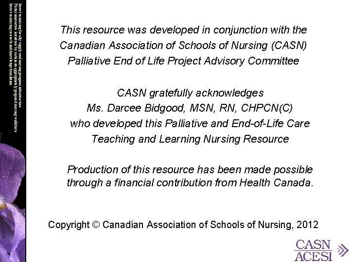 Invest in nursing faculty supply and nursing program infrastructure Foster innovative initiatives to sustain