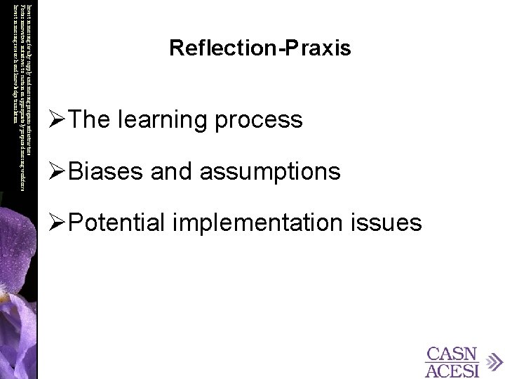 ØThe learning process ØBiases and assumptions Invest in nursing faculty supply and nursing program