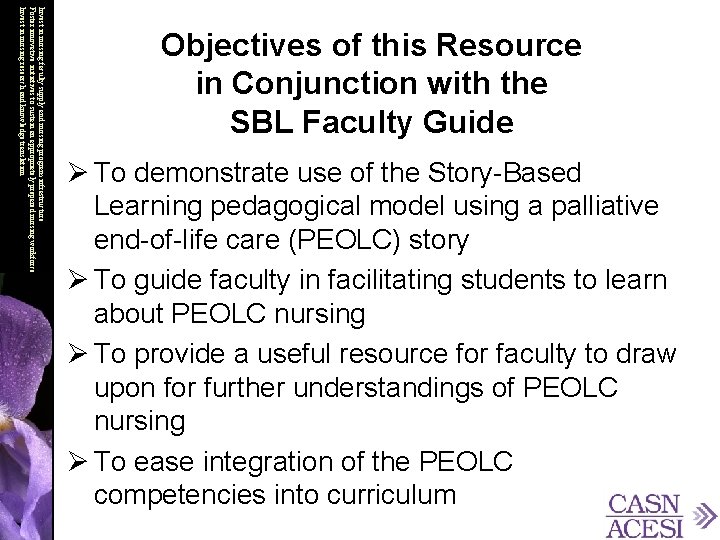 Invest in nursing faculty supply and nursing program infrastructure Foster innovative initiatives to sustain
