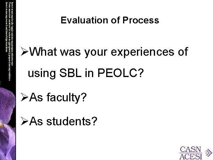 ØWhat was your experiences of using SBL in PEOLC? Invest in nursing faculty supply
